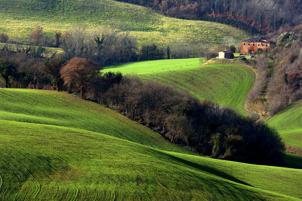 Crete Senesi , the provinces of Siena , tuscany,  Italy