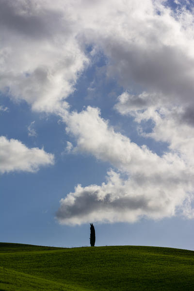 Details of the Val d' Orcia , the provinces of Siena , Tuscany , Italy