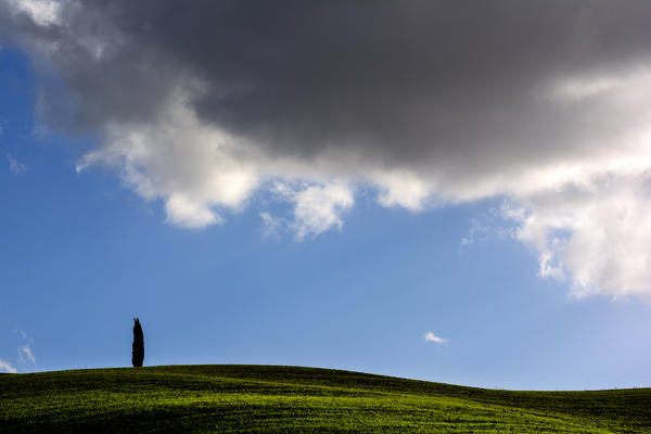 Details of the Val d' Orcia , the provinces of Siena , Tuscany , Italy