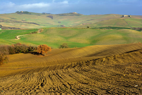 Details of the Val d' Orcia , the provinces of Siena , Tuscany , Italy