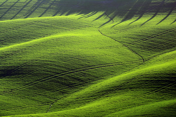 Crete Senesi , the provinces of Siena , Tuscany,  Italy