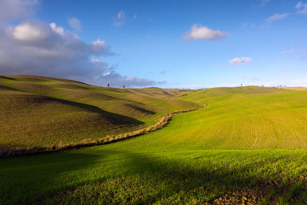 Val d'Orcia,Siena province, Tuscany district, Italy