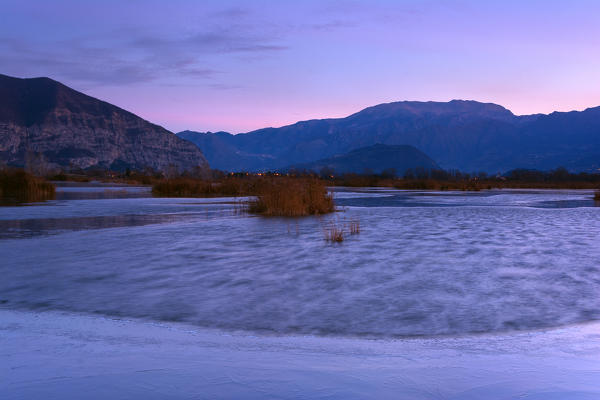 Natural Reserve, Torbiere del Sebino, province of Brescia, Lombardia,  Italy