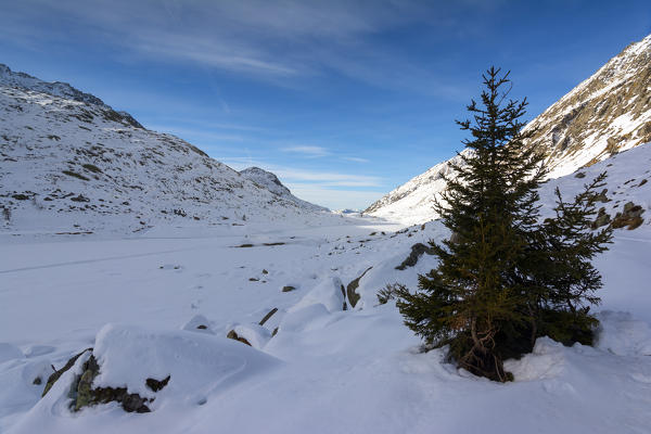 Winter in Adamello Park,province of Brescia, Italy