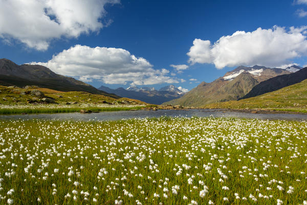 Gavia Pass, Stelvio national park, Brescia province, Lombardy district, Italy