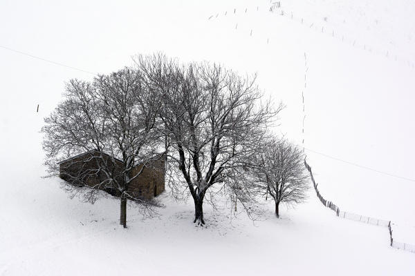 After the snowfall, Bergamo province, Lombardy, Italy.