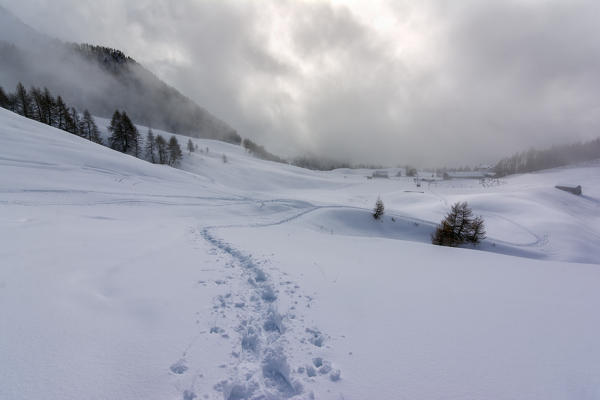 Landscape in Adamello park, Brescia province, Lombardy, Italy.