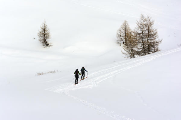 Skiers in the Adamello Park, province of Brescia,Italy