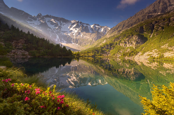 Aviolo lake in Adamello park, province of Brescia, Italy.