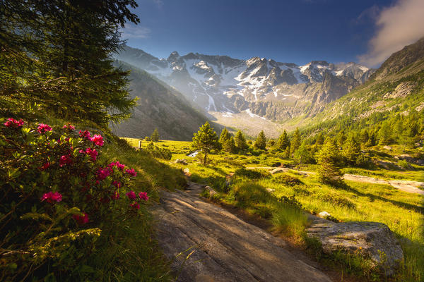 Aviolo lake in Adamello park, province of Brescia, Italy.