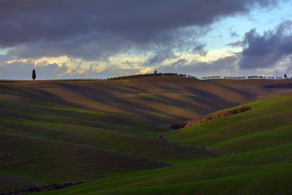 Hills of the Val d'Orcia, province of Siena, Tuscany, Italy.