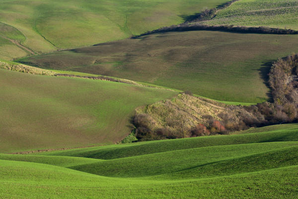 Val d'Orcia, province of Siena, Italy, Tuscany.