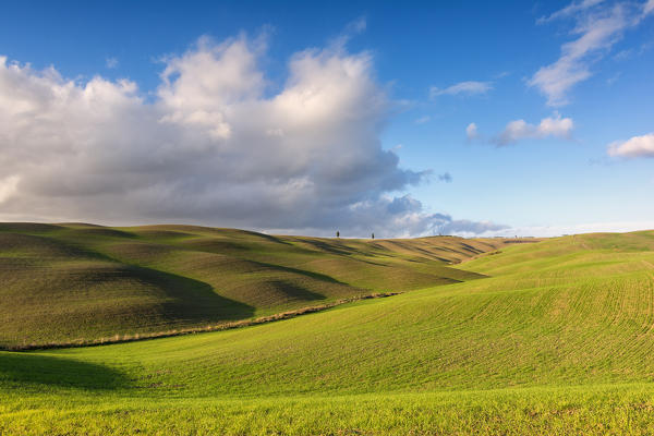 Val d'Orcia, province of Siena, Italy, Tuscany.