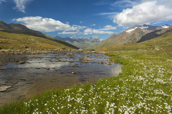 Gaviapass, Stelvio national park,province of Brescia, Italy.