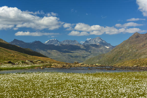 Gaviapass, Stelvio national park,province of Brescia, Italy.