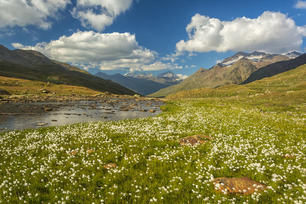 Gaviapass, Stelvio national park,province of Brescia, Italy.