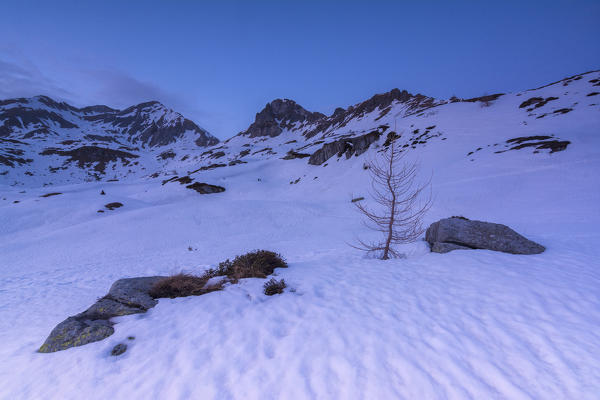 Landscape of Adamello Park,province of Brescia, Italy.