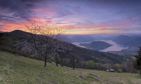 Panoramic of Iseo lake at Sunset, province of Brescia, Italy.