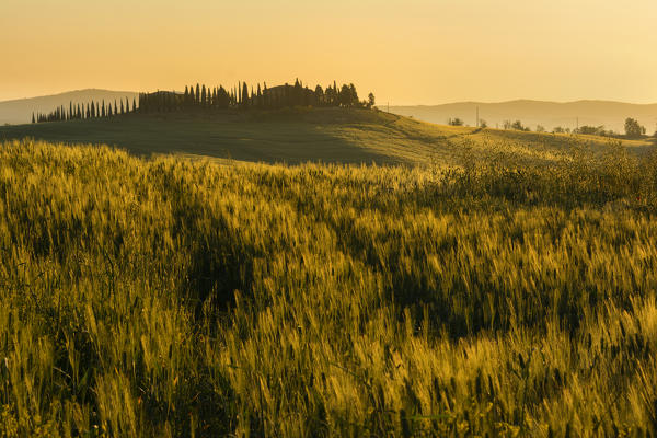 Tuscany hills at sunrise, Val d'Orcia, Tuscany,Italy.