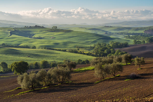 Europe, Italy, Tuscany hills in Orcia valley, province of Siena, Tuscany.