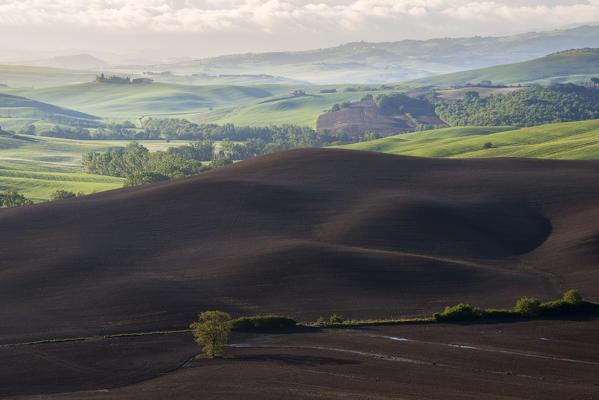 Europe, Italy, Tuscany hills in Orcia valley, province of Siena, Tuscany.