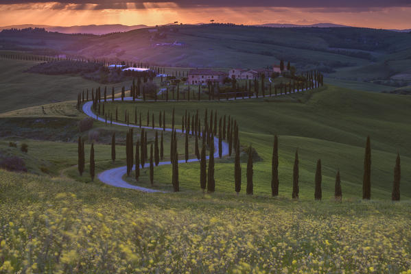 Europe, Italy, Crete Senesi at Sunset, province of Siena, Tuscany.