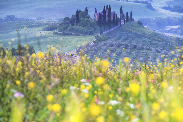 Europe, Italy, Belvedere farmhouse in Orcia valley, Siena province, Tuscany district.