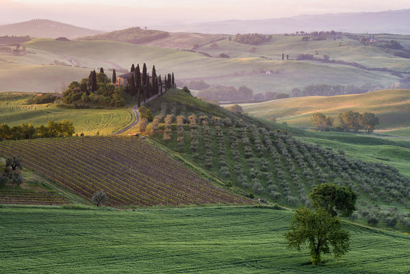 Europe, Italy, Belvedere farmhouse at dawn, province of Siena, Tuscany.