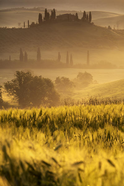 Europe, Italy, Belvedere farmhouse at dawn, province of Siena, Tuscany.