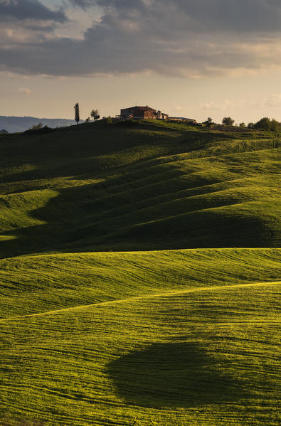 Europe, Italy, Orcia Valley at sunset, province of Siena, Tuscany.