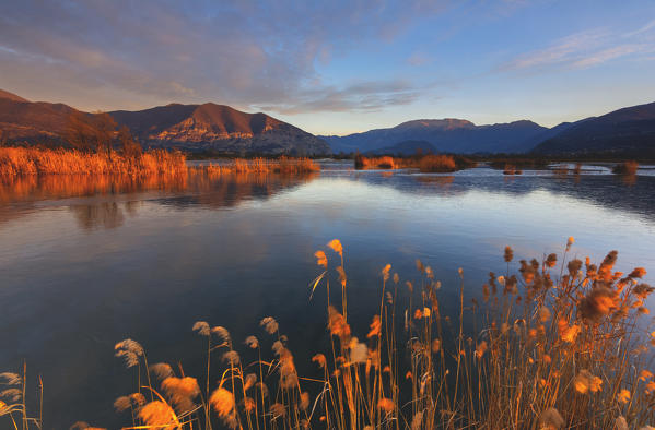 Europe, Italy, sebino natural reserve at dawn, province of Brescia.