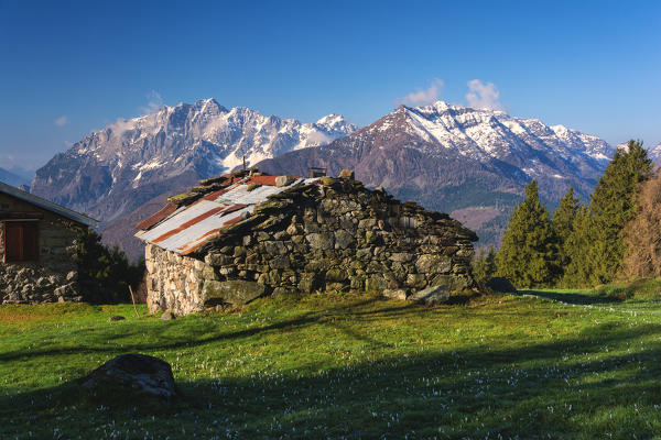 Adamello park, Brescia province, Lombardy, Italy