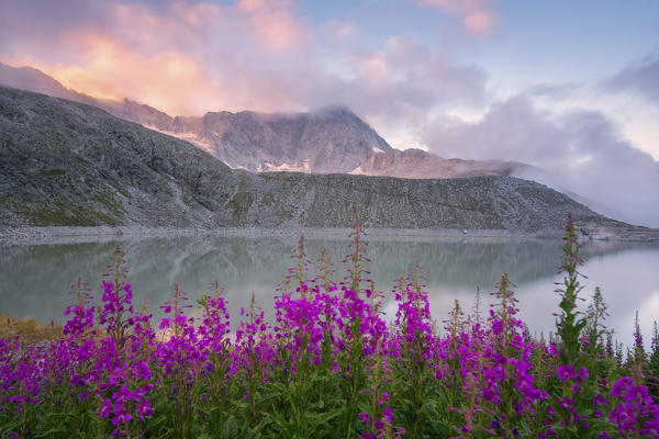 Mount Adamello at dawn in Adamello park, Brescia province, Lombardy district, Europe, Italy.