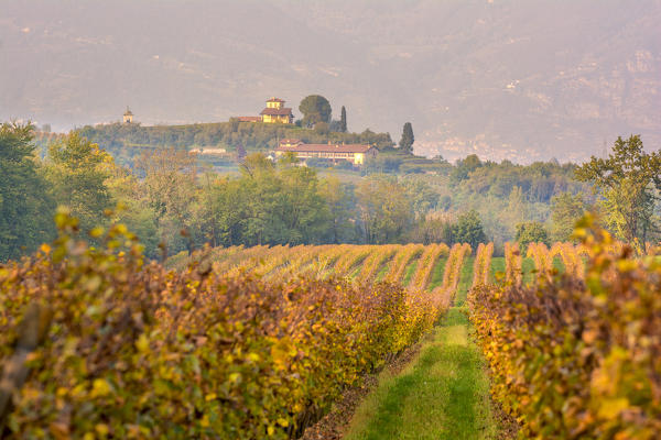 Franciacorta, Brescia province, Lombardy district, Italy, Europe.