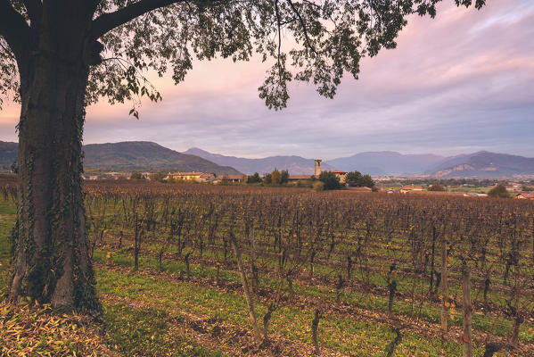 Franciacorta, Brescia province, Lombardy district, Italy, Europe.