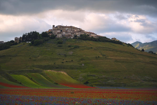 Castelluccio di Norcia, Umbria region, Perugia province, Italy, Europe.