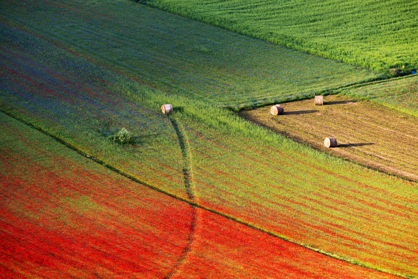 Castelluccio di Norcia, Umbria region, Perugia province, Italy, Europe.