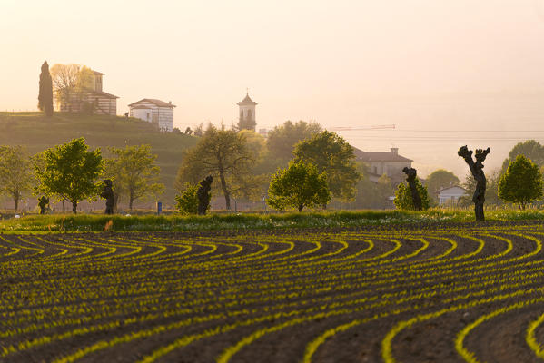 Franciacorta at sunset, Brescia province, Italy, Lombardy district, Europe.