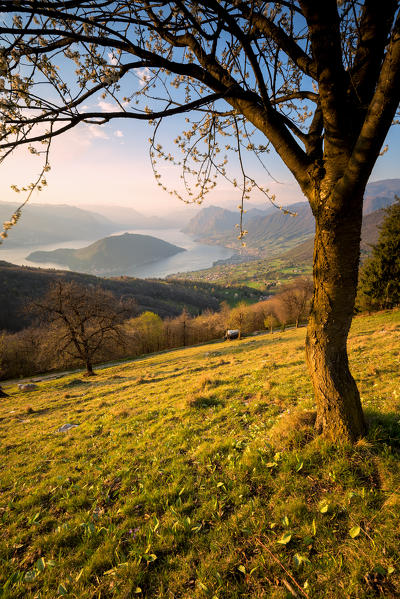 Sunset over Iseo lake and Montisola, Brescia province, Italy, Lombardy district, Europe.