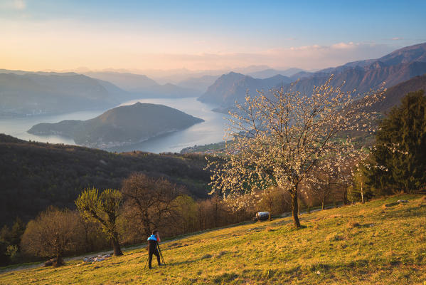 Photographer on Iseo lake, Brescia province, Italy, Lombardy district, Europe.