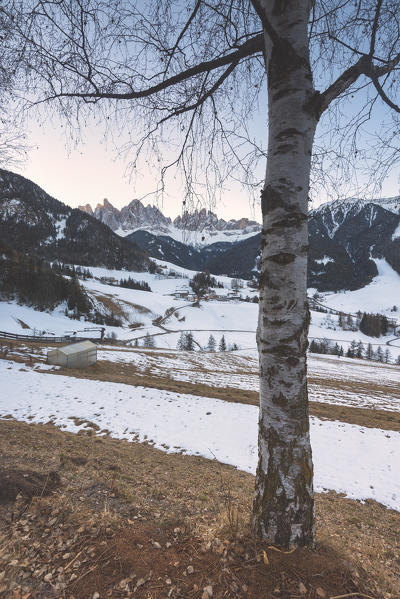 Sankt Magdalena in a winter sunrise in Funes valley, Odle Natural park in Trentino Alto Adige district, Italy, Bolzano province, Europe.