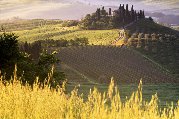 Belvedere Farmhouse at dawn, San Quirico d'Orcia, Orcia Valley, Siena province, Italy, Europe.