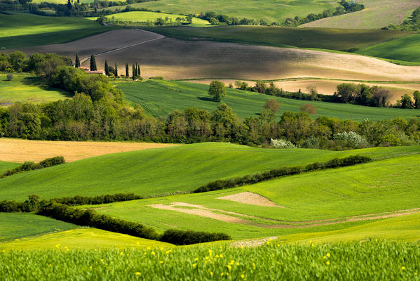 Belvedere Farmhouse at dawn, San Quirico d'Orcia, Orcia Valley, Siena province, Italy, Europe.