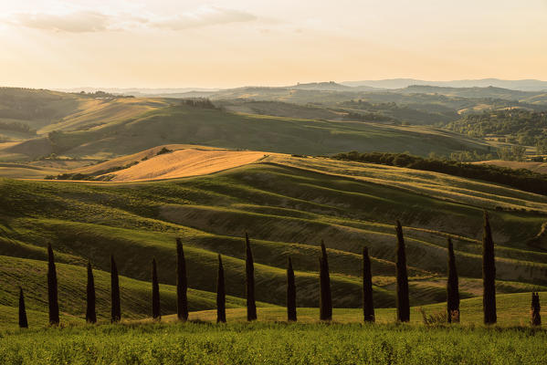 Hills of Crete Senesi at Sunset, Asciano, Siena Province, Tuscany region, Itlay, Europe.