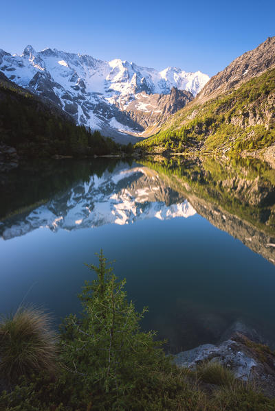 Aviolo lake in Adamello park, Brescia province, Lombardy district, Italy, Europe.