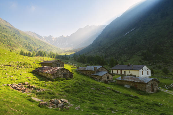 Val Grande, Vezza d'Oglio, Stelvio National park, Brescia province, Italy, Europe.