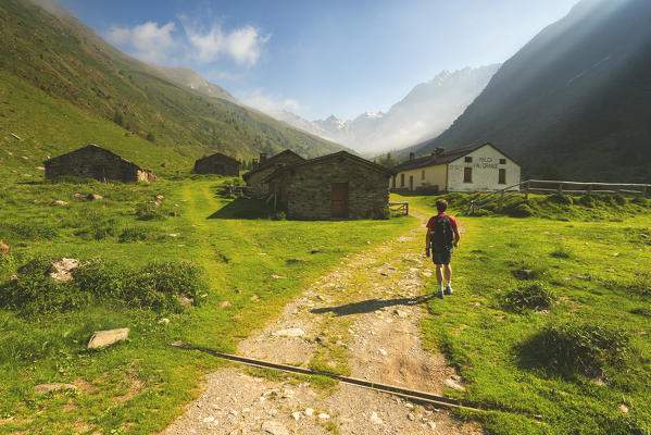 Trekking in Val Grande, Vezza d'Oglio, Stelvio National park, Brescia province, Italy, Europe.