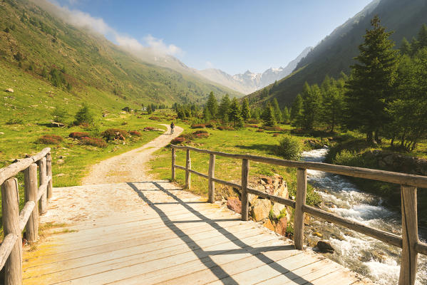 Mountain bike in Val Grande, Vezza d'Oglio, Stelvio National park, Brescia province, Italy, Europe.