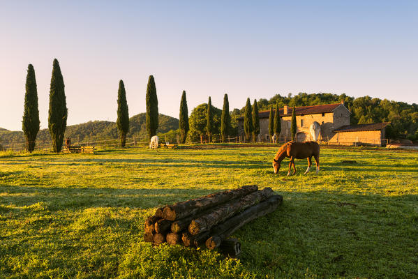 Horse riding in Franciacorta, Brescia province, Lombardy district, Italy, Europe.