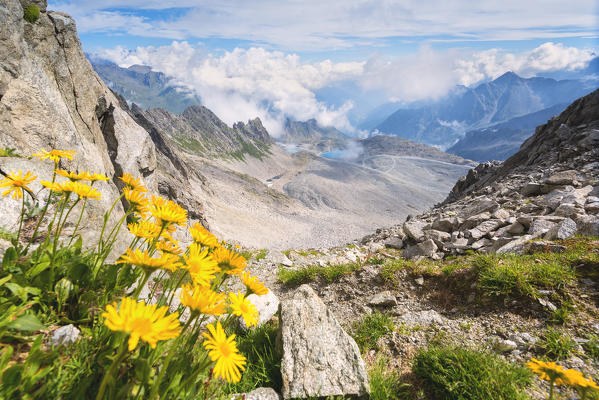 Sentiero dei Fiori in Adamello park, Brescia province, Europe, Lombardy district.